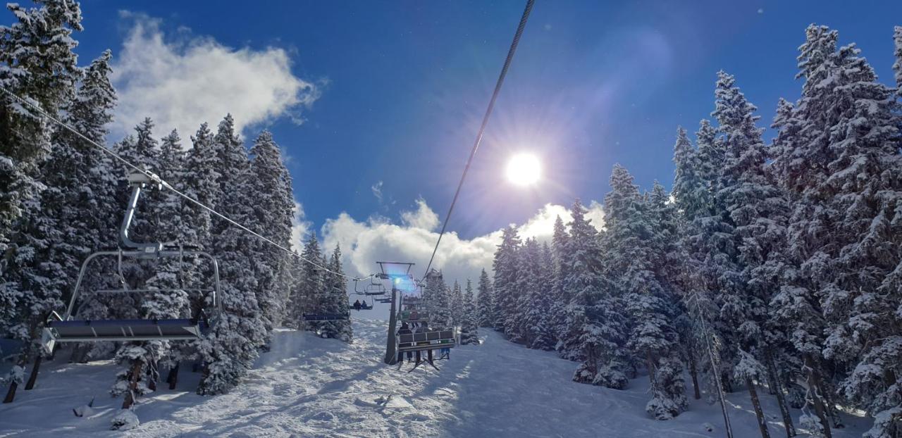 Appartementhaus Mayrhofen By Piaunddirk Esterno foto